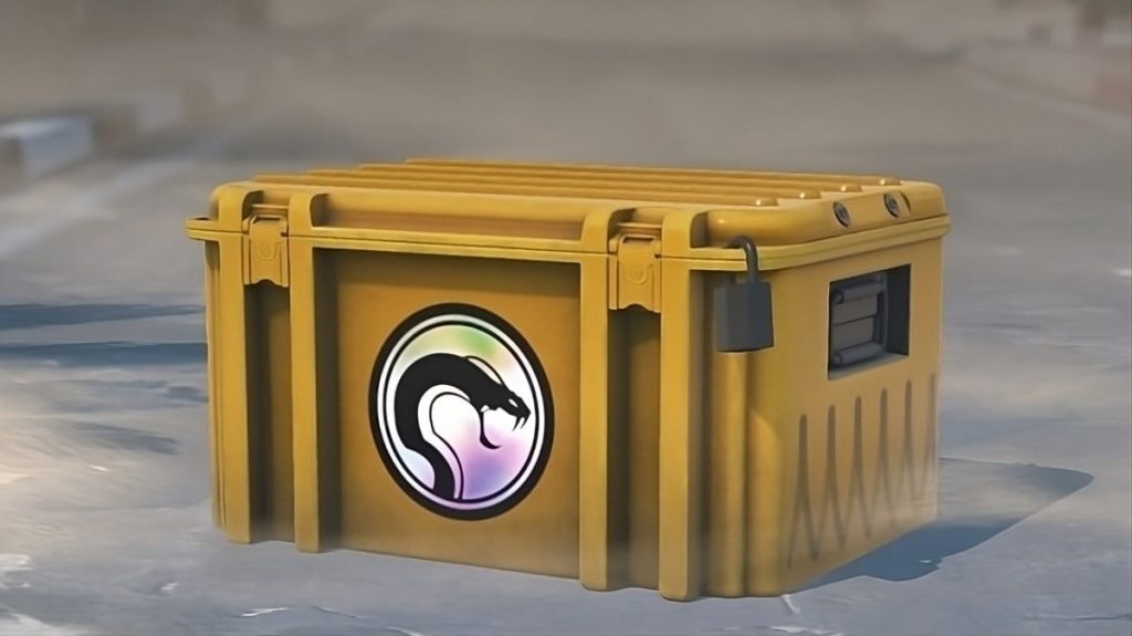 Case
